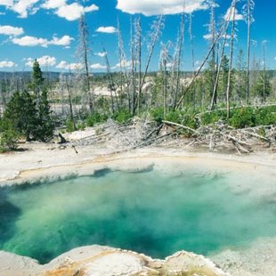 Yellowstone Natinal Park - 2016. June