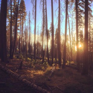 Yosemite - 2016. September