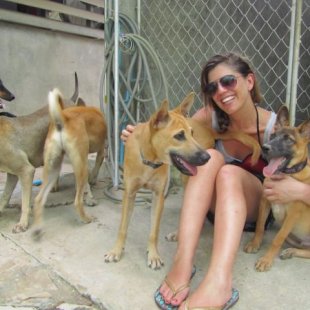 Sicilian Diaries - Day 4 - With dogs