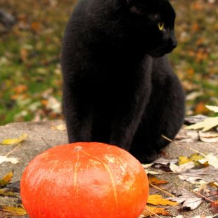 Sicilian Diaries - Day 5 - Halloween