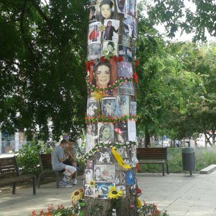 Michael Jackson's tree