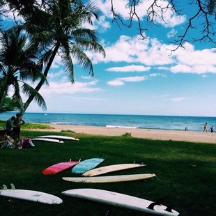 Surfboard heaven