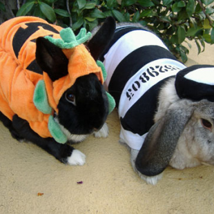 Sicilian Diaries - Day 5 - Halloween