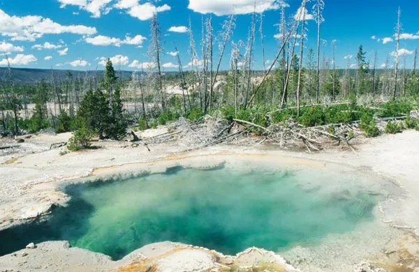 Yellowstone Natinal Park - 2016. June