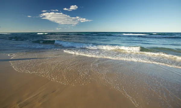 Soul Beach - 2016. August